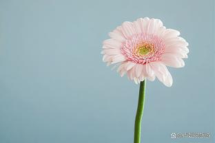Từ 1/1/2025 TP Huế trực thuộc Trung ương, tổ chức Link Trang Chủ Nhà Cái OK9 Mới Đăng Ký +69K đô thị tại TP Hải Phòng -0